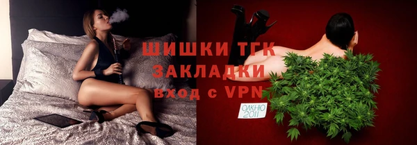 крисы Туринск