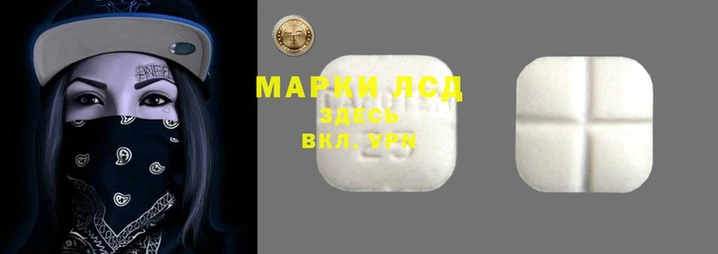 винт Верея