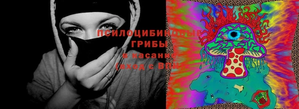 винт Верея
